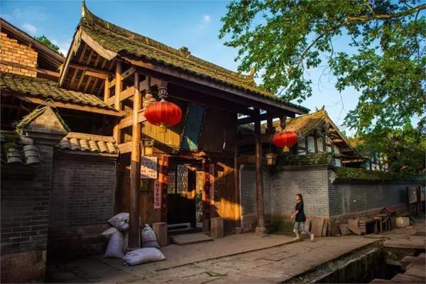 如果你的另一半虐待动物,你会怎么看待他?-专业有问必答平台